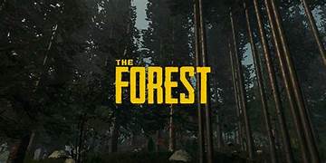 The Forest